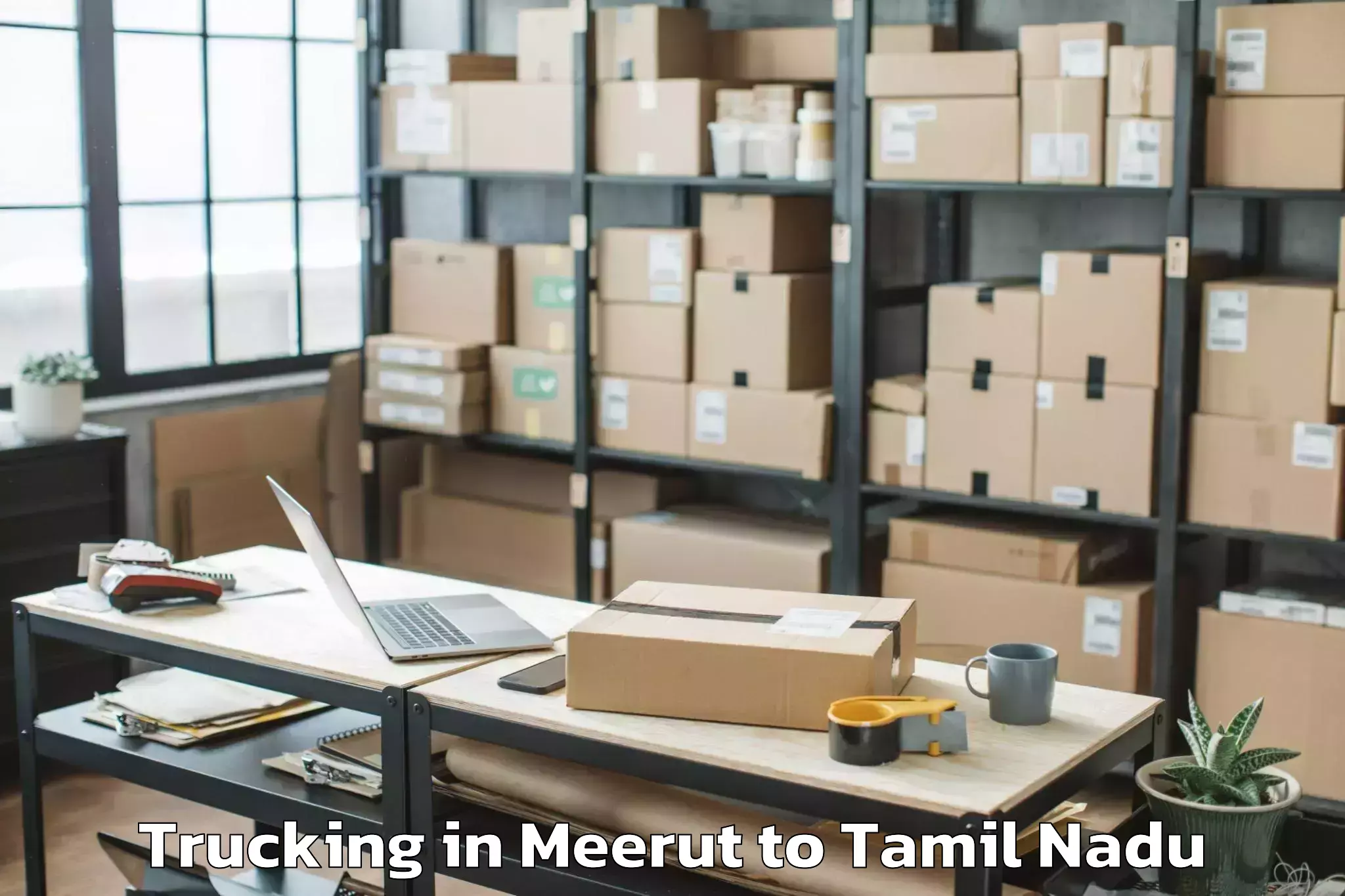 Book Meerut to Tiruturaipundi Trucking